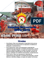 Curso Colapso Estructural b10