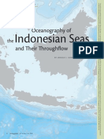 Indonesian Seas