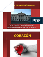 CORAZÓN I