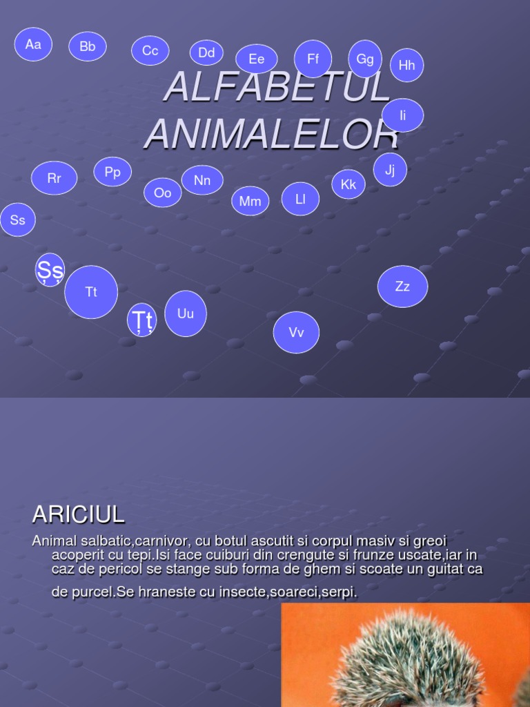 Alfabetul Animalelor | PDF