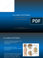 Columna Vertebral Gralidades PDF