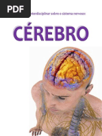 Cerebro Soraia Laibacas Adriana