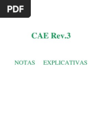CAE_notas explicativas