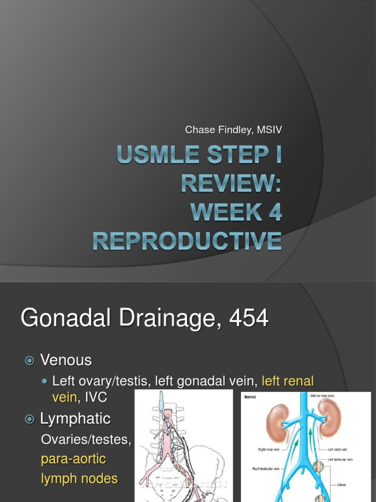 Week 4 Part 2 | PDF