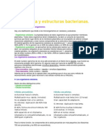Morfología y estructuras bacterianas
