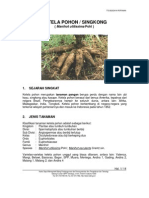 Karakteristik Ketela Pohon (Kantor Deputi Menegristek Bidang Pendayagunaan dan Pemasyarakatan Ilmu Pengetahuan dan Teknologi)