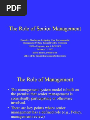 What is senior management roles