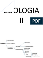 Zoologia II- Fisiologia