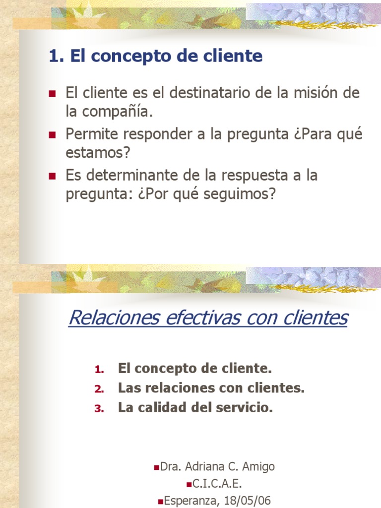 Concepto y relaciones con clientes | PDF | Negocios