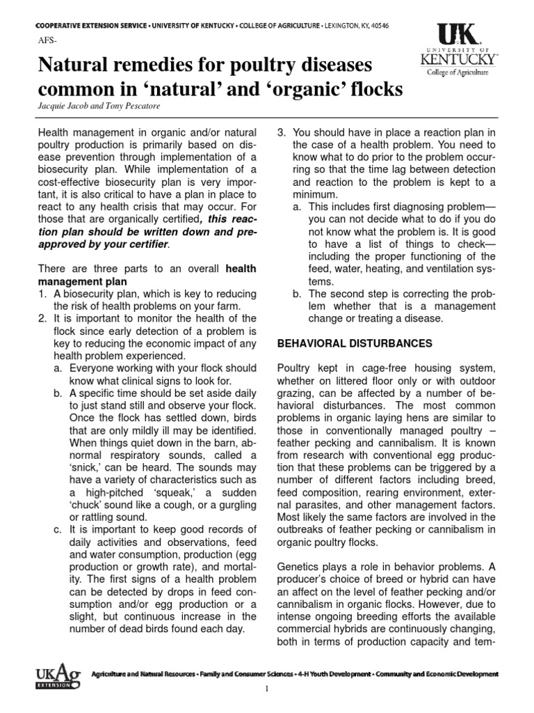 Natural Remedies Chickens PDF Poultry Farming Probiotic