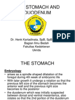 Dr. Henk K-The Stomach and Duodenum