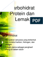 Karbohidrat Protein Dan Lemak