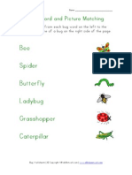 Bug Worksheet 