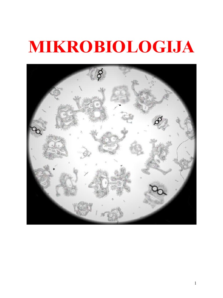 Mikrobiologija - Skripta Za Ponavljanje | PDF