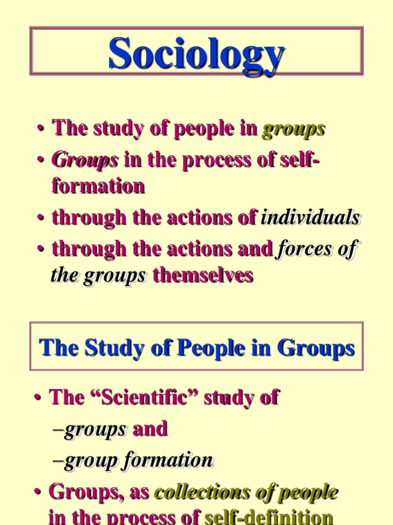 Socio 101 | PDF