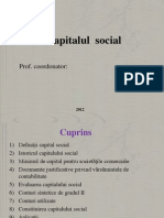 Capitalul Social 