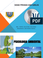 Psicologia Ambiental 2013 - II San Carlos