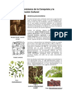 Culturas precolombinas: medicina y plantas medicinales