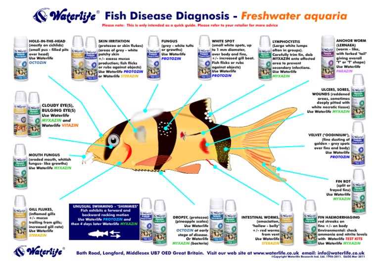Tropical Freshwater Chart | PDF | Wellness