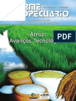 Arroz Epamig Ia Nr 222