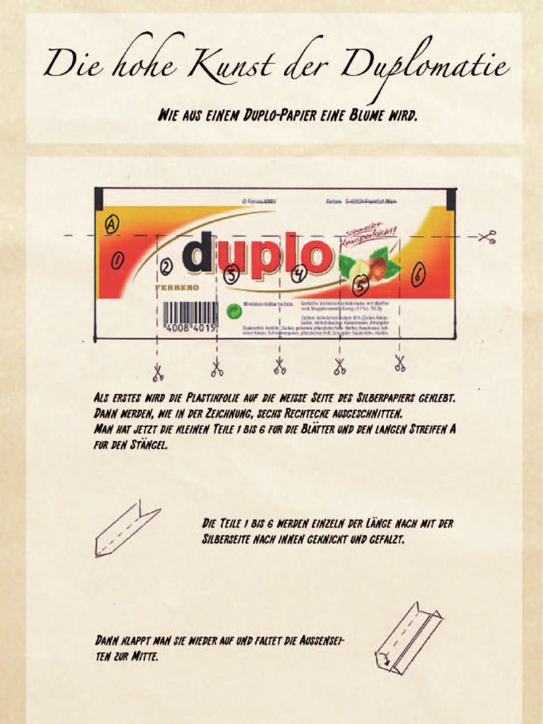 Anleitung Zur Duplo-Blume | PDF