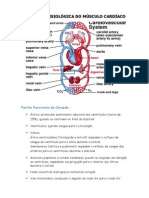 Anatomia Fisiológica Do Músculo Cardíaco