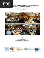 GSP SoilInformation WorkshopReport