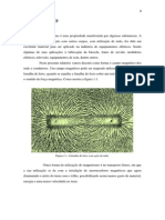 Relatório Magnetismo