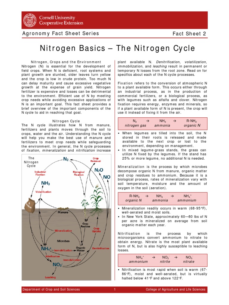 Nitrogen Basics The Nitrogen Cycle Fact Sheet 2