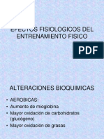 Efectos Fisiologicos Del Entrenamiento Fisico