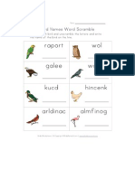 Worksheets birds