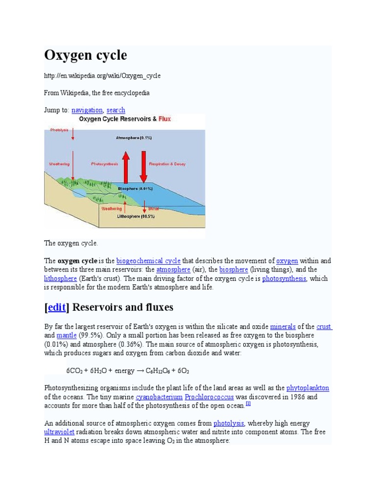 Oxygen Cycle Earth & Life Sciences Physical Geography
