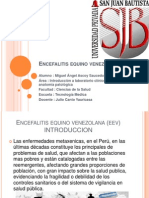 Encefalitis Equino Venezolana Diapositiva