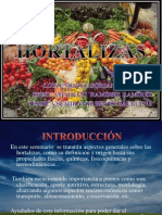 SEMINARIO HORTALIZAS