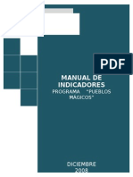 Manual de Indicadores-web