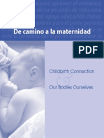 De Camino a la Maternidad.pdf