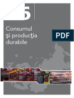 Consumul Şi Producţia Durabile. State of The Environment Report No 1/2007. EEA (European Environment Agency) OPOCE (Office For Official Publications of The European Communities) 2007-10-10