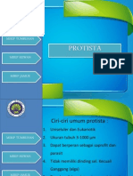 Protista