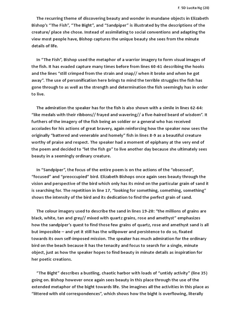 Bishop poetry essay picture