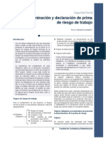 444_determinacion y declaracion de prima de riesgo de trabajo.pdf