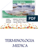 TERMINOLOGIA