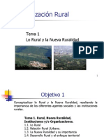 Tema 1 Org. Rural 2013