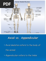 Skeletal Bio Mechanics Slide Show
