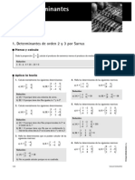 Sol 03 Determinantes