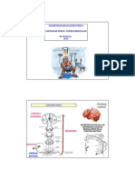 Fisiologia Act. Fisica Fuerza 2013