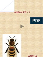 Animales 3