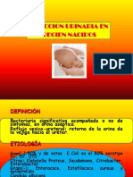 Infecciones Del Tracto Urinario PDF