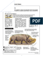 Mostra El rinoceront blanc Avaluació Diagnòstica CAT 4t