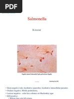 Download Salmonella by drparachuru SN176135028 doc pdf