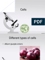 Review Cells Form 3